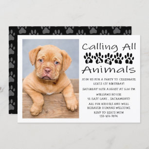 Invitation Photo d'anniversaire de chien