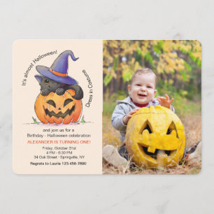 Invitation photo de chat Halloween