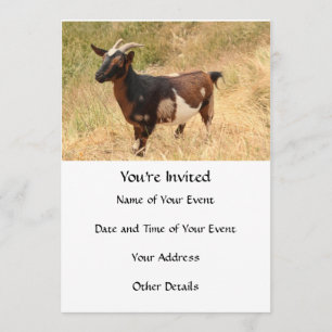 Invitation Photo de chèvre