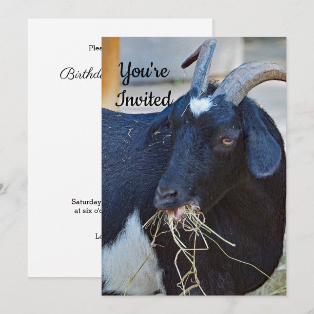 Invitation Photo de chèvre noire mignonne Anniversaire (Devant / Derrière)