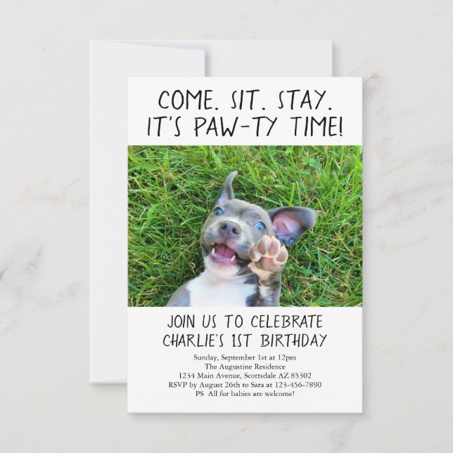 Invitation Photo de la fête d'anniversaire du Chien Chien Chi (Devant)