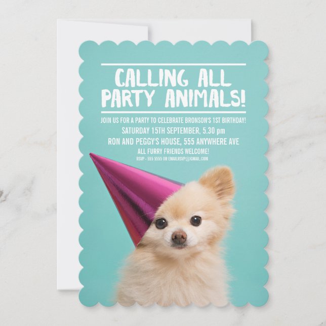 Invitation PHOTO DE LA FÊTE DE CHIEN POUR ANIMAUX (Devant)