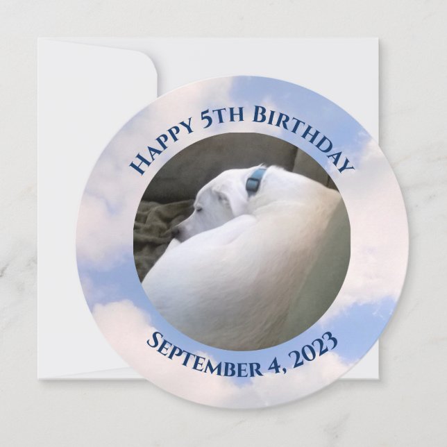 Invitation Photo de mignon Chien dormant bleu Anniversaire (Devant)