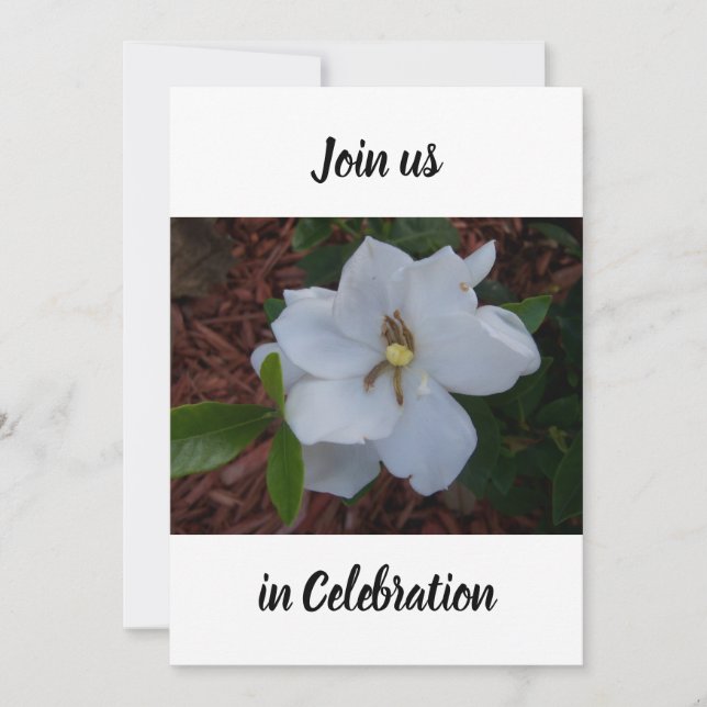 Invitation Photo d'une gardénie blanche fleurit tout près sur (Devant)