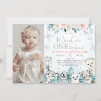 Photo Silver Arctic Winter Onederland Anniversaire