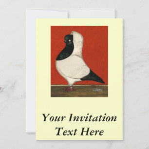Invitation Pigeon noir