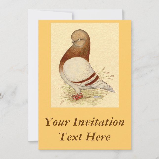 Invitation Pigeon Tumbler :  LFCL Mealy (Devant)