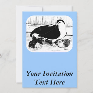 Invitation Pigeons de Lahore 1980