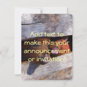 Invitation Piggies d'observation Paire de stylo