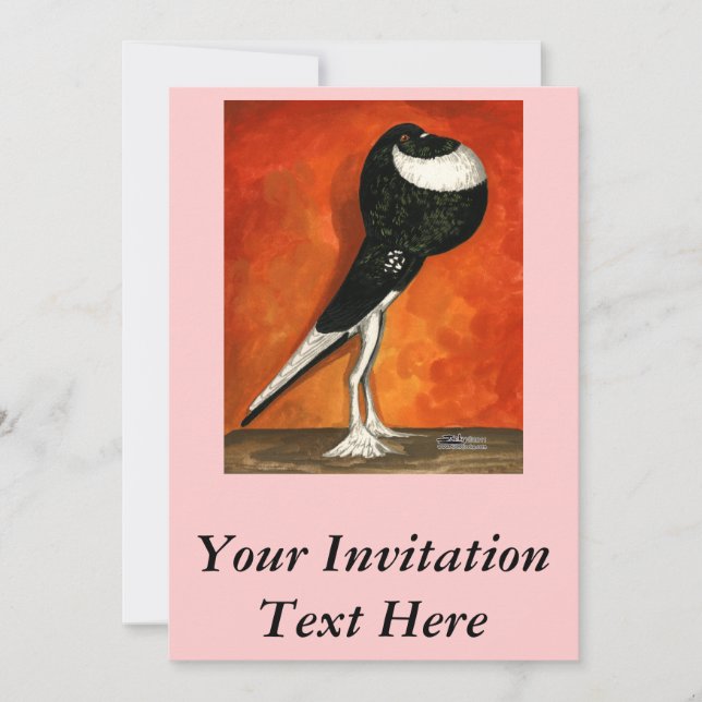 Invitation Pigmy Pouter Pigeon Black Pied (Devant)