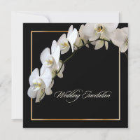 Pix-Dezines orchidées/phalaenopsis