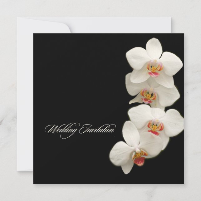 Invitation Pix-Dezines orchidées/phalaenopsis (Devant)