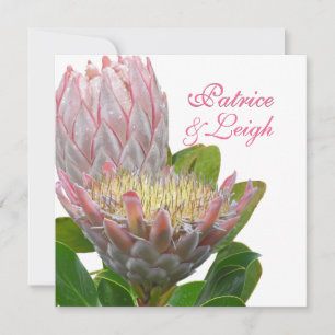 Invitation PixDezines maui protéa rose pâle/do-it-yourself fr