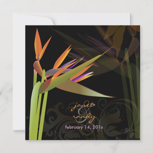Invitation PixDezines OISEAU DE PARADISE/DO-IT-YOURSELF coule (Devant)