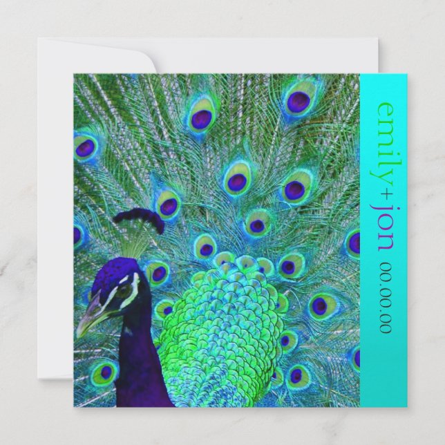 Invitation PixDezines paon plumes/aqua/turquoise (Devant)