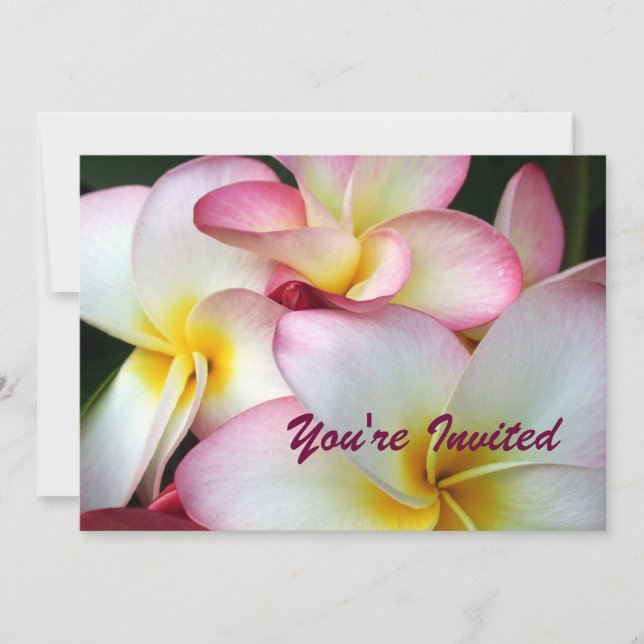 Invitation Plumeria blanche et rose (Devant)