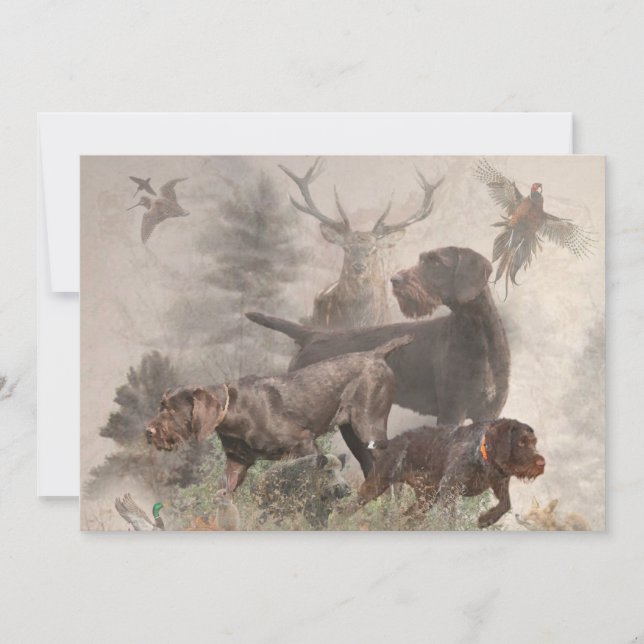 Invitation Pointeur À poils durs allemand (Devant)