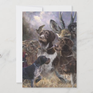 Invitation Pointeur À poils durs allemand