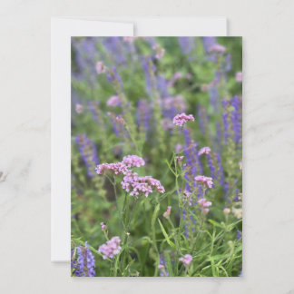 Invitation Post card 