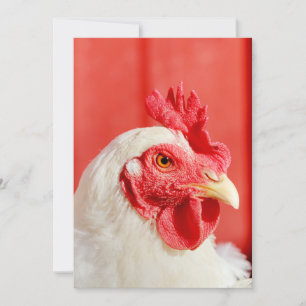 Invitation Poulet de ferme