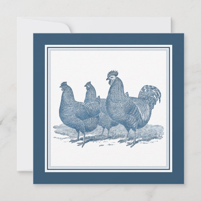 Invitation Poulets de roche de Plymouth Poules de coq bleu an (Devant)