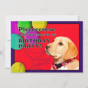 Invitation pour la fête d'anniversaire, Chien, Lab