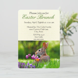 Invitation pour le brunch de Pâques avec le lapin 