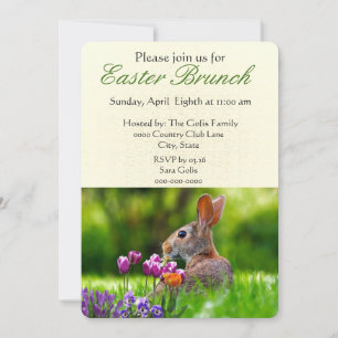 Invitation pour le brunch de Pâques avec le lapin