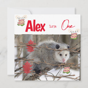 Invitation pour le premier anniversaire des enfant