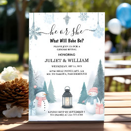 Invitation Pour Rustic Neige Froid Glace Cosy hiver Sexe Révé