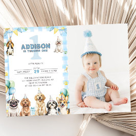 Invitation Puppy Calling All Pawty Animals 1st Birthday Photo