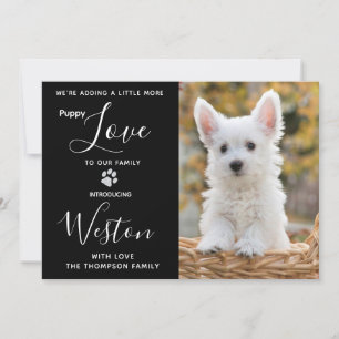 Invitation Puppy ShowParty - Black Elegant Moderne Nouveau An