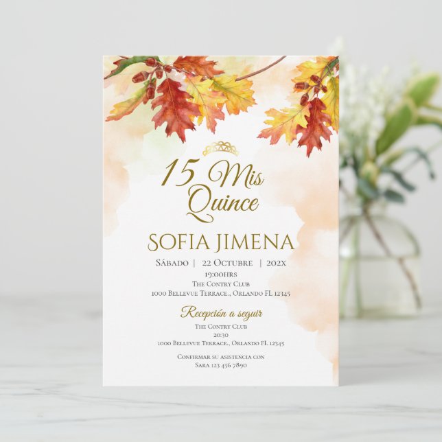 Invitation Quincenera en espagnol Boho (Debout devant)