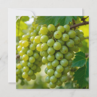 Invitation Raisin Vert Frais