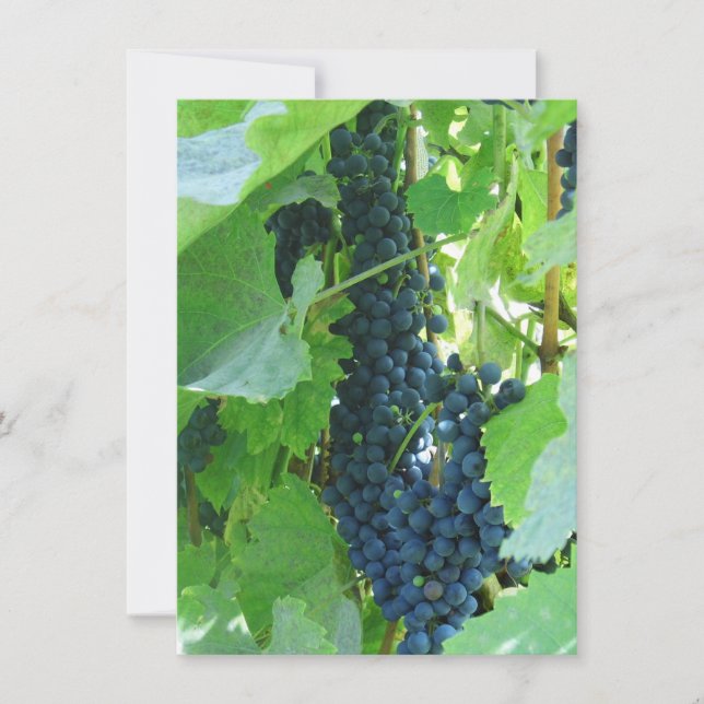 Invitation Raisins Bleus (Devant)