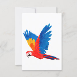 Invitation Red Macaw