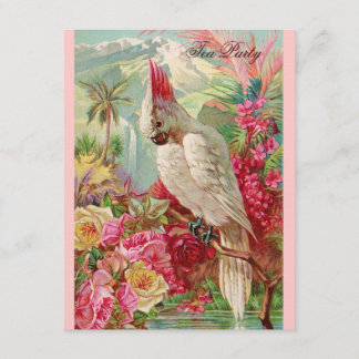 Invitation Red Roses & Cockatoo Art Vintage
