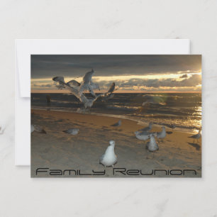 Invitation Retrouvailles familiales sur la plage Coucher de s