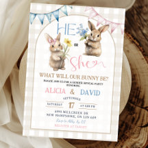 Révélation du sexe Fleur Bunny Bleu Rose