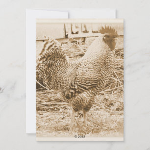 Invitation Rooster de style vintage