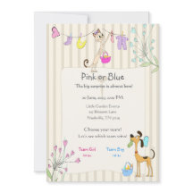 Rosa ou Bleu Révélation du Sexe Chien & Chat