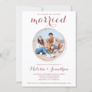 Invitation Rose moderne Gold personnalisé Animaux de compagni