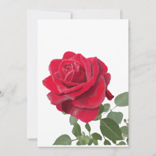 Invitation  Rose rouge - symbole d’amour
