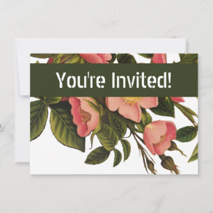 Invitation Roses Anciennes Jolies Roses Botaniques Roses