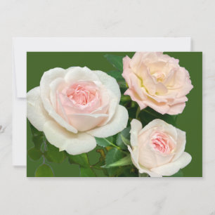 Invitation Roses romantiques blanches roses