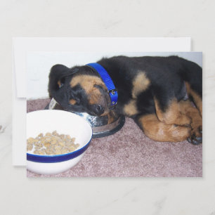 Invitation rottweiler