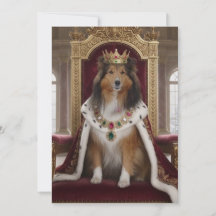 Royal Sheltie