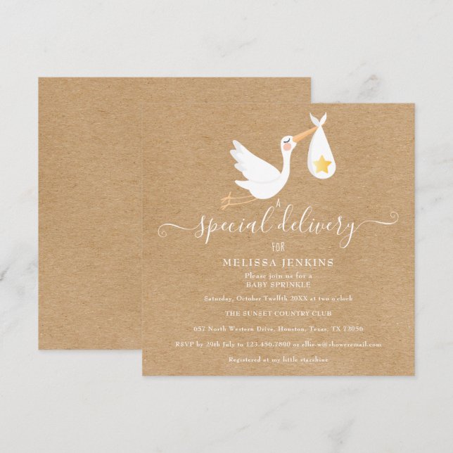 Invitation Rustic Special Delivery Stork Baby Sprinkle Douche (Devant / Derrière)