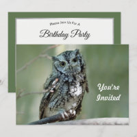 Screch Owl Tree Branch Photo Birthday