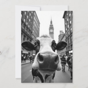 Invitation Selfie de vache drôle sur une rue très fréquentée 